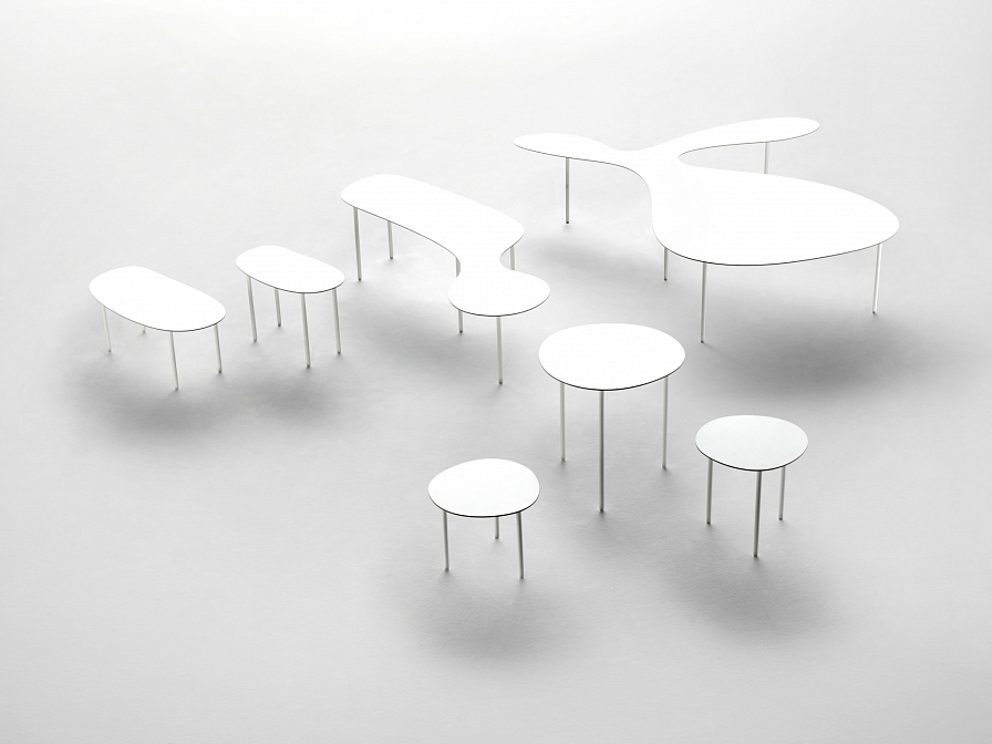 Rabbit & The Tortoise Collection