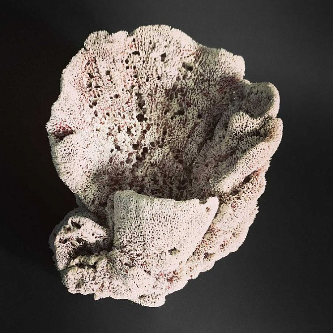 Интерьерная скульптура из серии "Кораллы". Оксана Панфилова