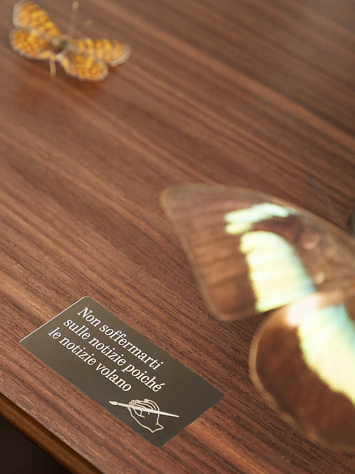 Isidoro Ultime Notizie 