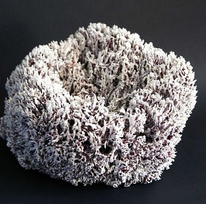 Интерьерная скульптура из серии "Кораллы". Оксана Панфилова