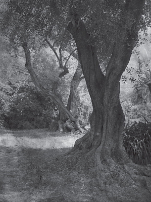 Клавихо-Телепнев В. Из серии "Cagnes sur Mer"