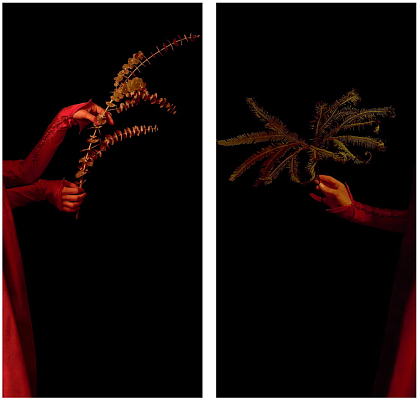 Клавихо-Телепнев В. Из серии "Благовещение"