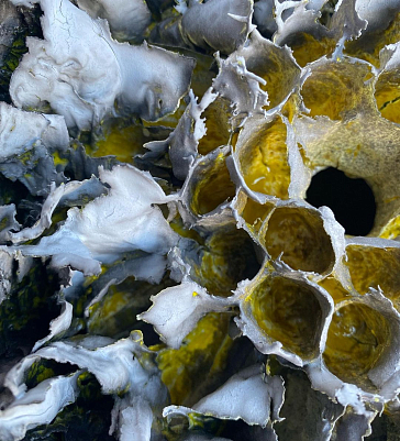 Скульптурная ваза. Из серии "Хрупкость". Оксана Панфилова