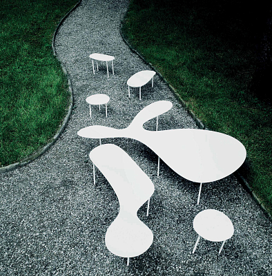 Rabbit & The Tortoise Collection