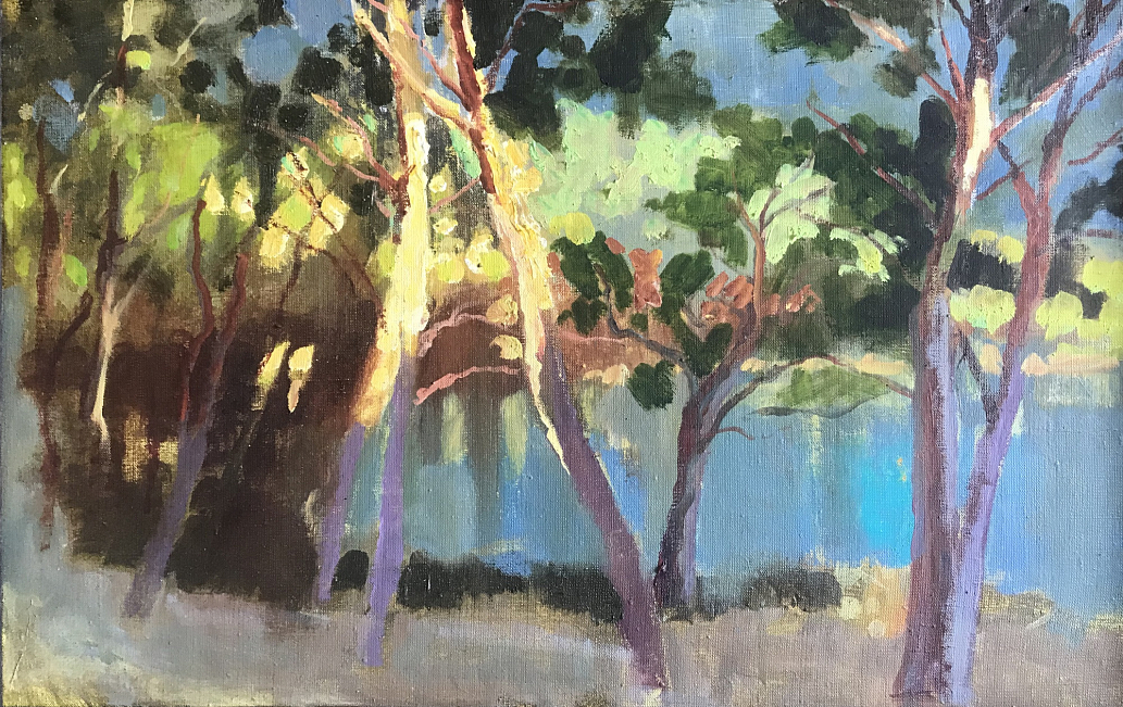 Максютин С.В. Закат на Пинише