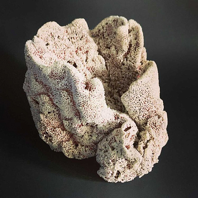 Интерьерная скульптура из серии "Кораллы". Оксана Панфилова