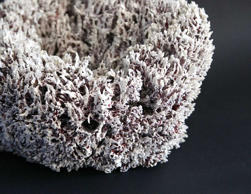 Интерьерная скульптура из серии "Кораллы". Оксана Панфилова