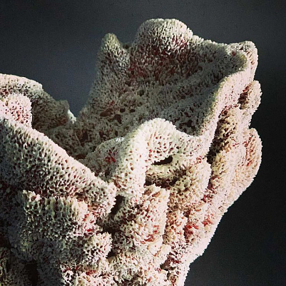 Интерьерная скульптура из серии "Кораллы". Оксана Панфилова