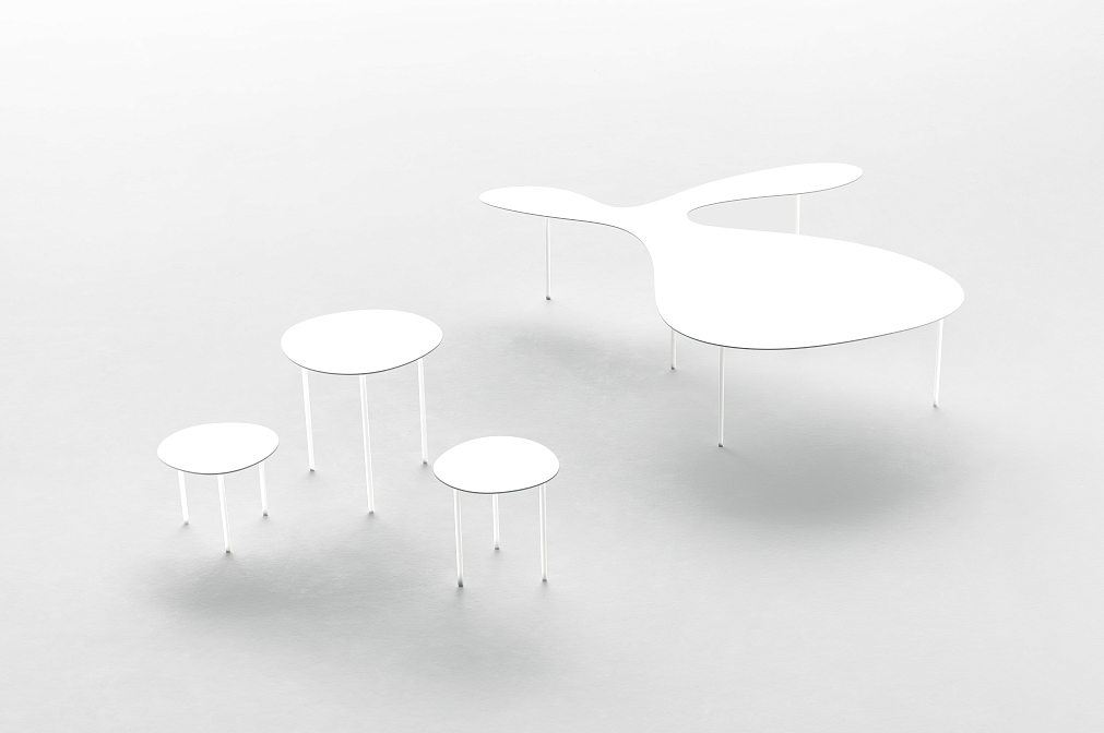 Rabbit & The Tortoise Collection