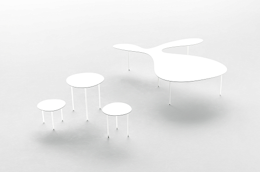 Rabbit & The Tortoise Collection